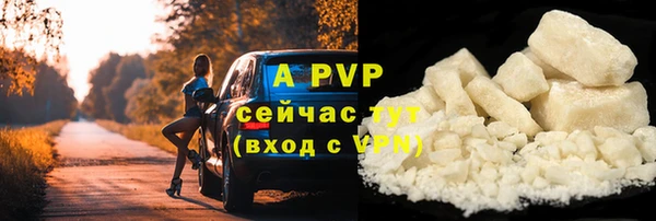 гашик Карталы