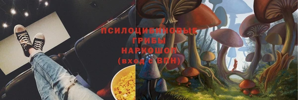 гашик Карталы