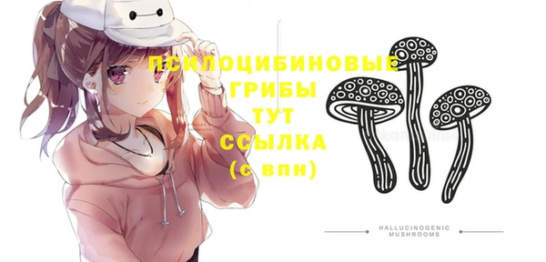 синтетический гашиш Касимов