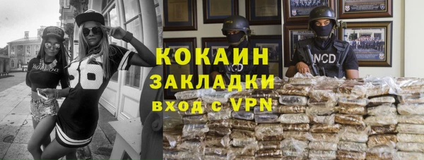 ГАЛЛЮЦИНОГЕННЫЕ ГРИБЫ Козловка