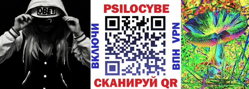 купить  цена  Ахтырский  Псилоцибиновые грибы Psilocybe 