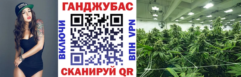 Конопля индика  Ахтырский 